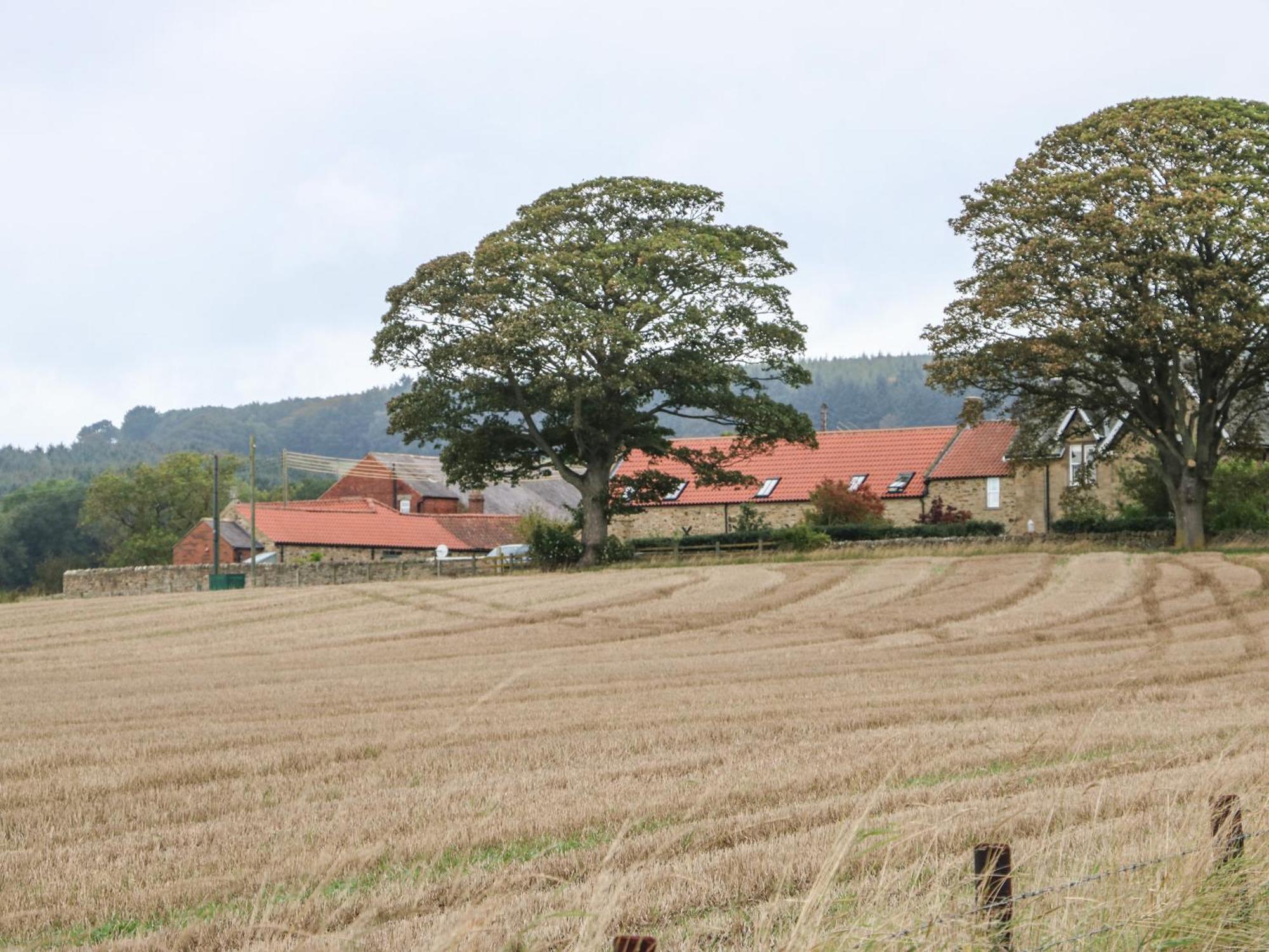 Cross Cottage, Durham Exteriör bild